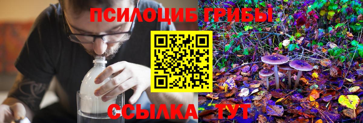 Псилоцибиновые грибы MAGIC MUSHROOMS Коломна