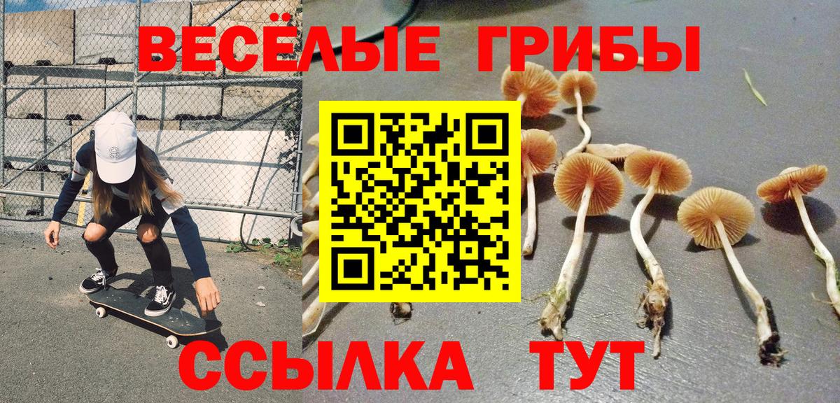 Псилоцибиновые грибы GOLDEN TEACHER  Вход с VPN  Псилоцибиновые грибы Psilocybine cubensis  Коломна 